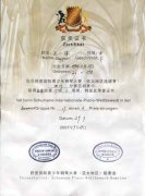 王一淳、張心雅同學(xué)在舒曼國(guó)際青少年鋼琴大賽(亞太地區(qū)選拔賽)四川分賽區(qū)初賽中分獲業(yè)余組二等獎(jiǎng)、三等獎(jiǎng) 