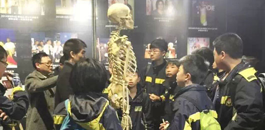  探究生命奧秘，延伸課堂知識--MYP學(xué)子參觀人體藝術(shù)科普展 