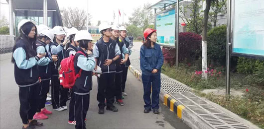  直面垃圾處理，力倡可持續(xù)發(fā)展--MYP3年級(jí)跨學(xué)科探究活動(dòng) 