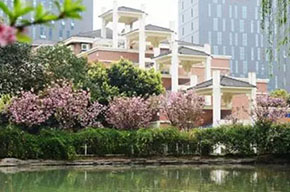  成都美視師一學(xué)校關(guān)于食品安全問(wèn)題的聲明 