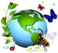 【PYP動態(tài)】探究生物，共享地球——PYP一年級組探究活動