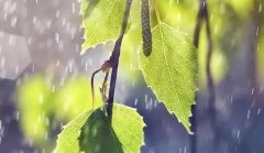 【教研動態(tài)】集思廣益促教學(xué)--記五月語文、數(shù)學(xué)組集體備課