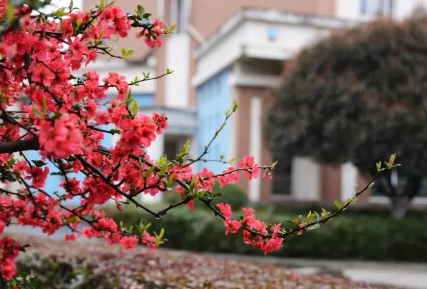  【畢業(yè)情懷】那些年，在美視 