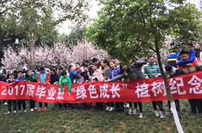  種下一棵樹(shù)，留下一片情 