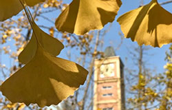 季節(jié)絮語 | 第二彈：校園的季節(jié)表達