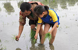  探究課堂：瀲滟田地在召喚——插秧嘍！播種咯！孩子們下地咯！ 