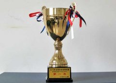 美視學(xué)子榮獲2010年全國(guó)啦啦操錦標(biāo)賽中學(xué)組花球無(wú)級(jí)別第一名