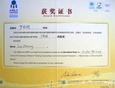 美視學(xué)子榮獲2010中國(guó)兒童環(huán)保繪畫大賽少年組優(yōu)勝獎(jiǎng)