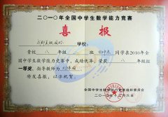美視師生在2010年全國中學(xué)生數(shù)學(xué)能力競(jìng)賽中取得驕人佳績(jī)