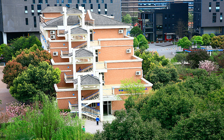 成都美視師一學(xué)校小升初面談公告