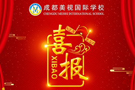 成都美視師一學(xué)校2019年高考喜報(bào)