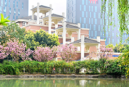 成都美視師一學(xué)校2019年小升初隨機(jī)派位名單公示