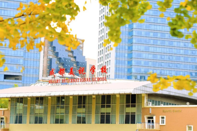 老牌國(guó)際化學(xué)校，在卓越的道路上持續(xù)奮進(jìn)