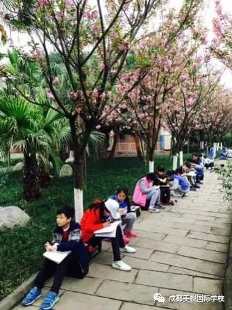 圖片15.jpg 圖片